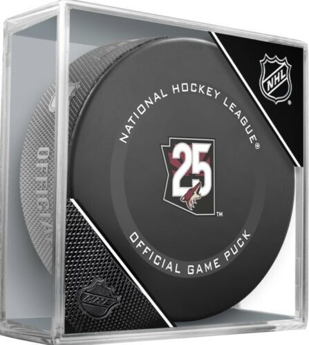 InGlasCo Fanúšikovský puk NHL Game 20th Anniversary (1ks)